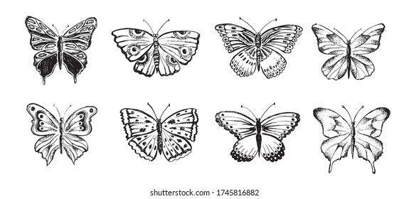 Butterfly hand drawn vector illustrations.