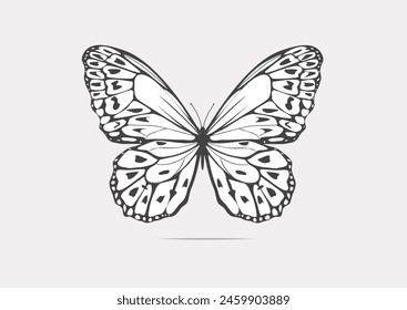 Vector de diseño dibujado a mano de mariposa