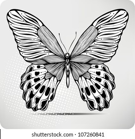 Butterfly, hand-drawing. Vector illustration.