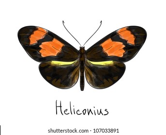 Butterfly Heliconius. Watercolor imitation. Vector illustration
