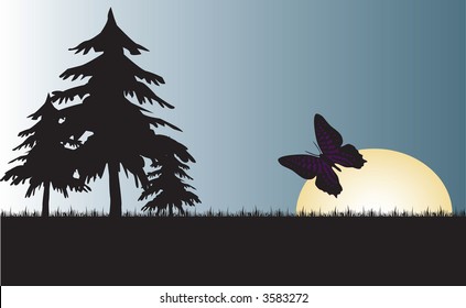 Butterfly in high pine meadow at sundown in this vector illustration.
