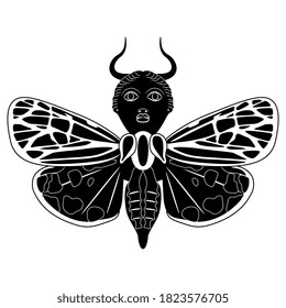 Butterfly with horned female head. Fantastic creature. Black and white silhouette.