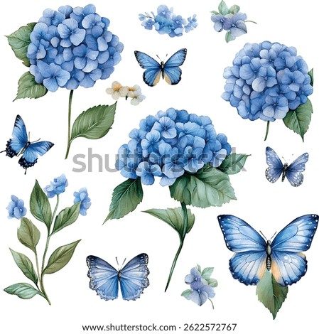 butterfly hydrangea watercolor flower vector 