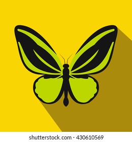 Butterfly icon