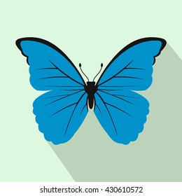 Butterfly icon