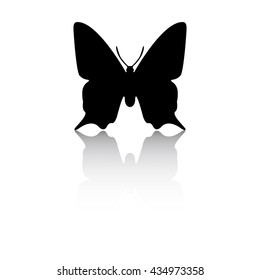 Butterfly Icon
