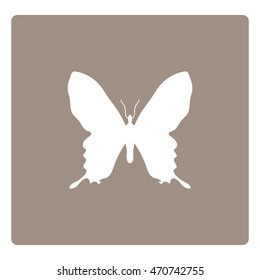 butterfly icon