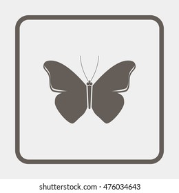 Butterfly icon.