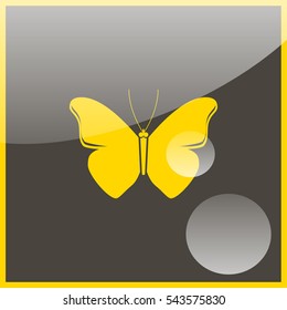 Butterfly icon.