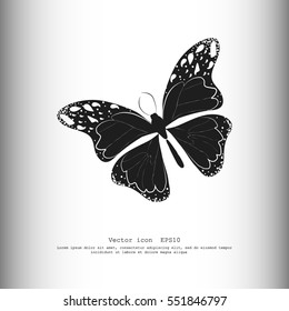 Butterfly icon