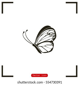 Butterfly icon