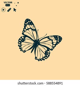 Butterfly icon
