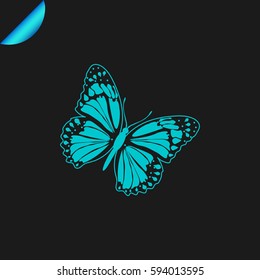 Butterfly icon