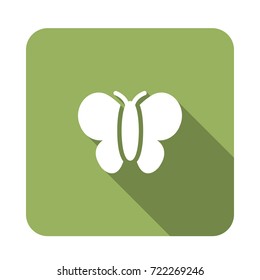 butterfly icon