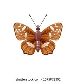 Butterfly icon. 3d realistic butterfly insect with beautiful brown color ornamental wings. Animal sign for logo design, poster, t-shirt print, banner. Vector illustration isolated on white background