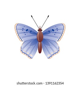 Butterfly icon. 3d realistic butterfly moth insect with beautiful blue color wings. Animal sign for logo design, poster, t-shirt print, banner. Vector illustration isolated on white background