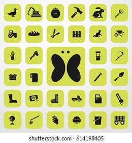 butterfly icon. agriculture set. vector sign symbol on white background