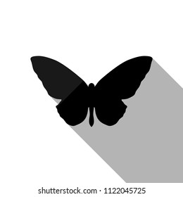 butterfly icon. Black object with long shadow on white background