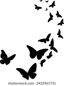 Butterfly icon black and white background 