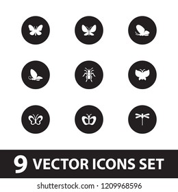 Butterfly icon. collection of 9 butterfly filled icons such as ant. editable butterfly icons for web and mobile.