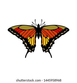 Butterfly Icon. Colored Design. EPS 10 vector illustration.