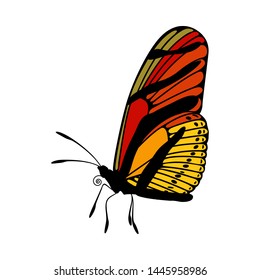 Butterfly Icon. Colored Design. EPS 10 vector illustration.