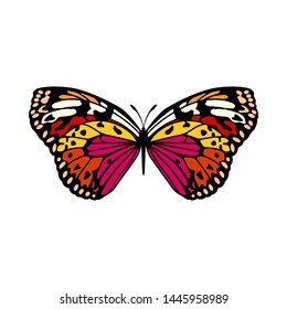Butterfly Icon. Colored Design. EPS 10 vector illustration.