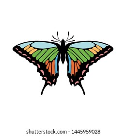 Butterfly Icon. Colored Design. EPS 10 vector illustration.