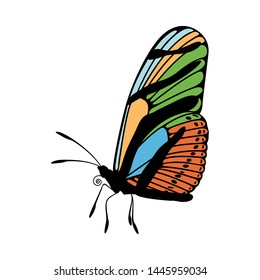 Butterfly Icon. Colored Design. EPS 10 vector illustration.