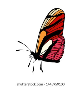 Butterfly Icon. Colored Design. EPS 10 vector illustration.