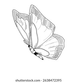 butterfly icon design flying with its wings