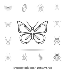 butterfly icon. Detailed set of insects line illustrations. Premium quality graphic design icon. One of the collection icons for websites, web design, mobile app on white background