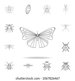 butterfly icon. Detailed set of insects line illustrations. Premium quality graphic design icon. One of the collection icons for websites, web design, mobile app on white background