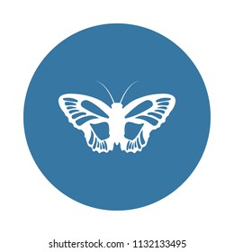 butterfly icon. Element of insect icons for mobile concept and web apps. Badge style butterfly icon can be used for web and mobile apps