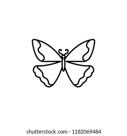 butterfly icon. Element of butterfly icon for mobile concept and web apps. Thin line butterfly icon can be used for web and mobile on white background