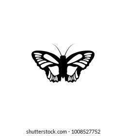 butterfly icon. Elements of world of insects icon for concept and web apps. Illustration  icon for website design and development, app development. Premium icon on white background