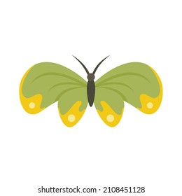 Butterfly icon. Flat illustration of butterfly vector icon isolated on white background