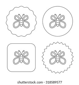 Butterfly icon. Flying lepidoptera sign. Dreaming symbol. Flat circle, star and emblem buttons. Labels design. Vector