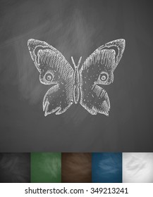 butterfly icon. Hand drawn vector illustration. Chalkboard Design