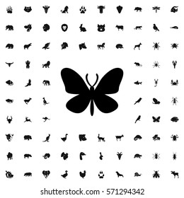 butterfly icon illustration isolated vector sign symbol