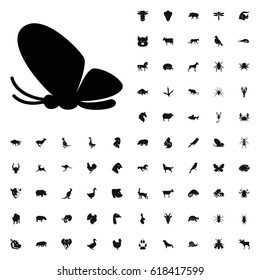 Butterfly icon illustration isolated vector sign symbol. animals icons vector set. on white background