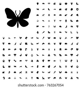 Butterfly icon illustration isolated vector sign symbol. animals icon set for web and mobile.