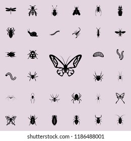 butterfly icon. insect icons universal set for web and mobile