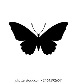 Butterfly icon. Insect symbol. Vector illustration 