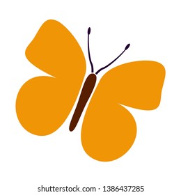 Butterfly icon or logo isolated, Beautiful Butterfly illustration