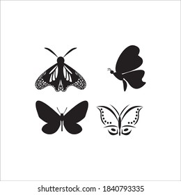 Butterfly icon logo, vector design illustration 