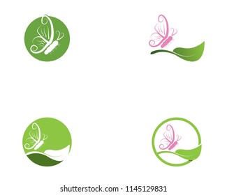 Butterfly icon logo vector illustration