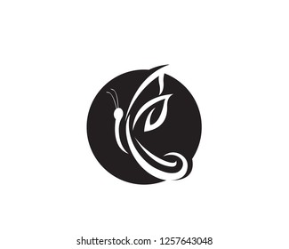 Butterfly icon Logo Vector illustration
