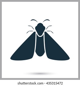 Butterfly icon on the background