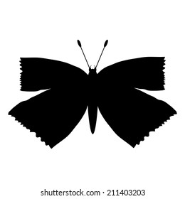 Butterfly icon on white background. Vector illustration.
